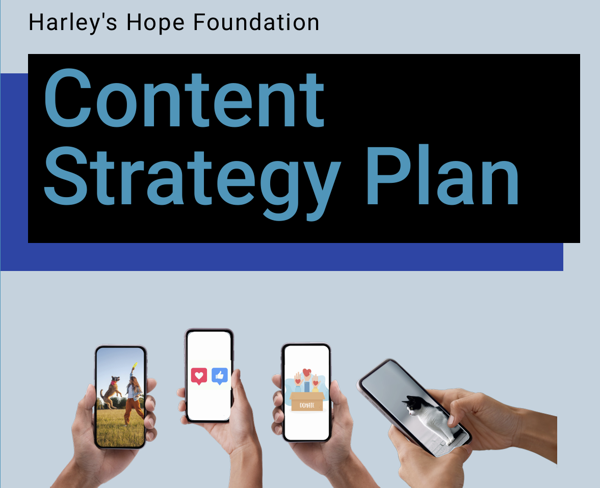Content Strategy Plan for HHF Project Cover
