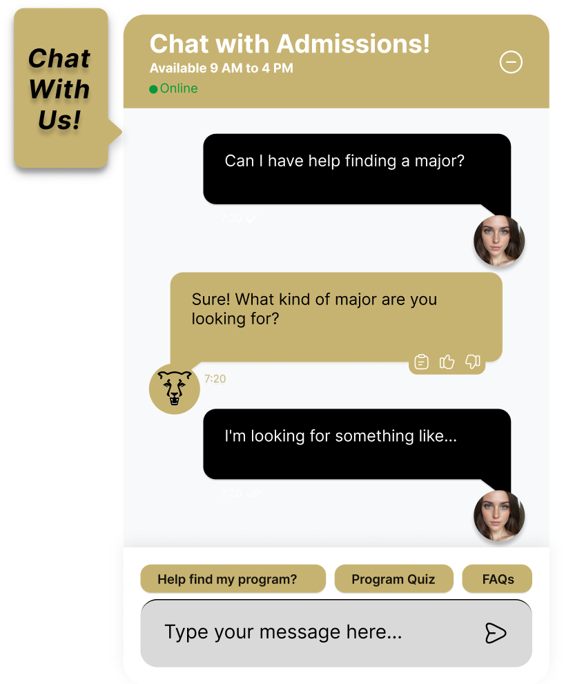 Chat Feature